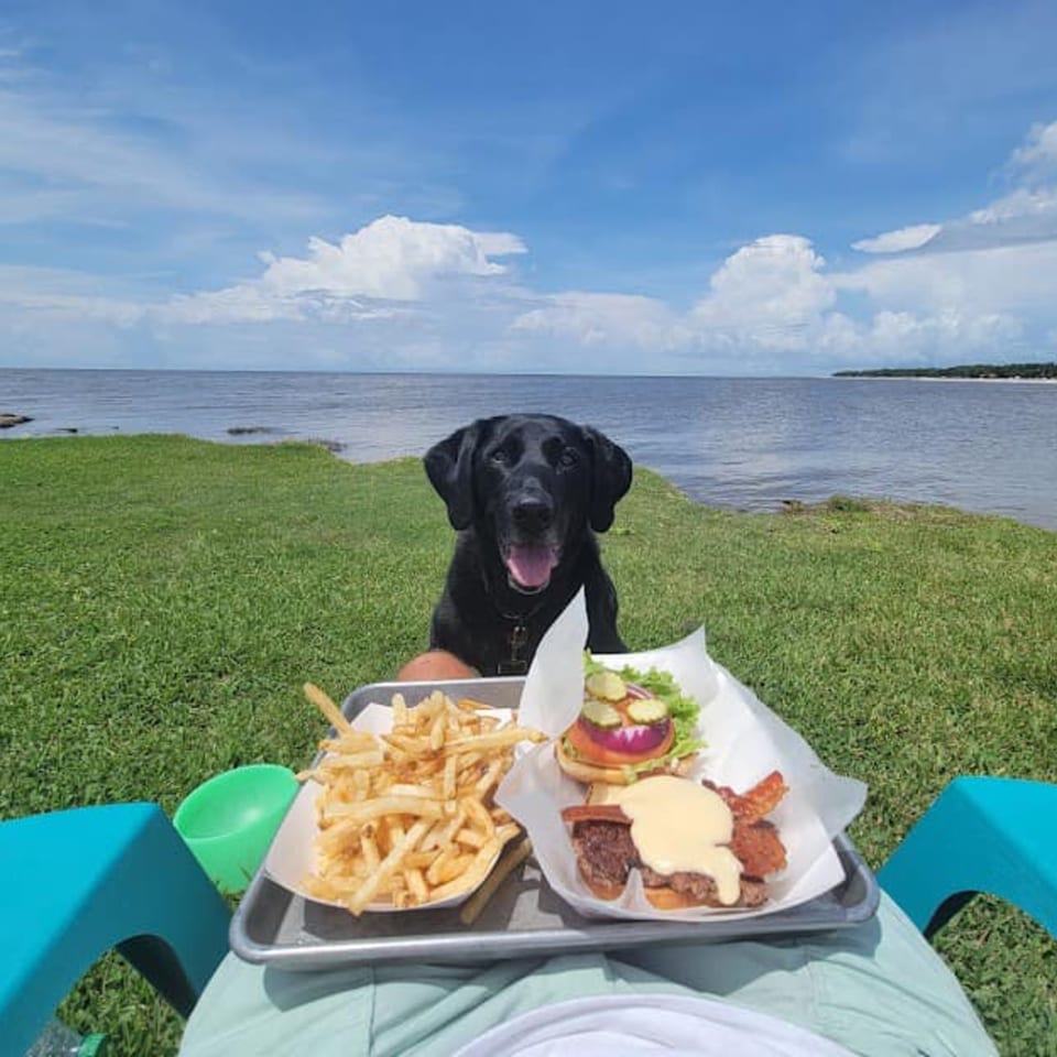 A black dog sits behind a tray of burgers and fries by a grassy lake under a blue sky.