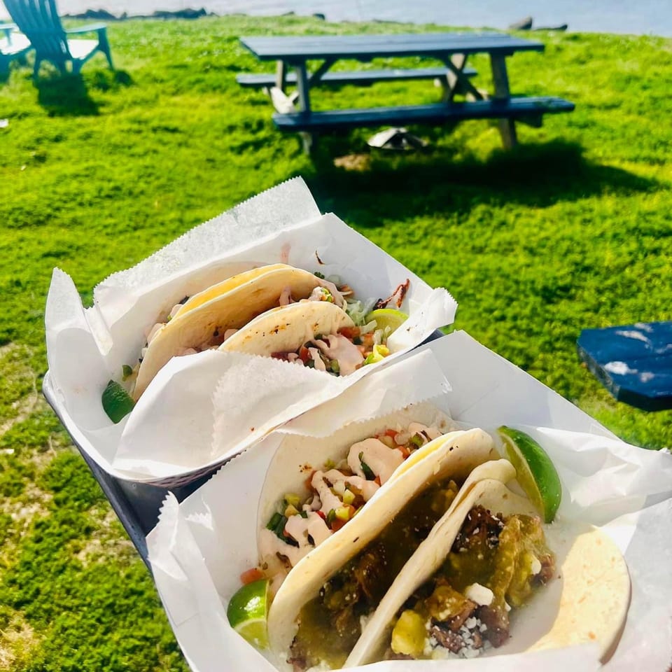 Two tacos with various fillings and lime wedges, set against a grassy outdoor background with a picnic table.